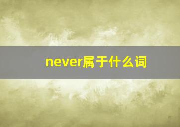 never属于什么词