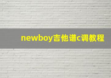 newboy吉他谱c调教程