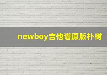 newboy吉他谱原版朴树