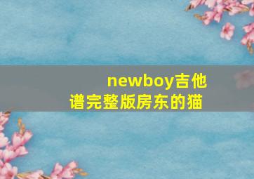 newboy吉他谱完整版房东的猫