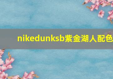 nikedunksb紫金湖人配色