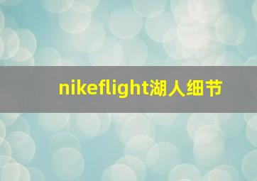 nikeflight湖人细节