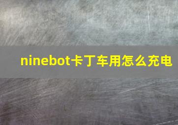 ninebot卡丁车用怎么充电