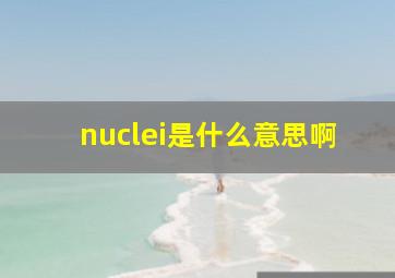 nuclei是什么意思啊