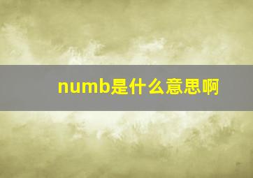 numb是什么意思啊