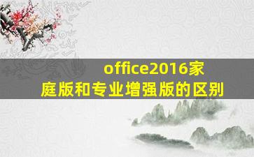 office2016家庭版和专业增强版的区别