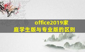 office2019家庭学生版与专业版的区别