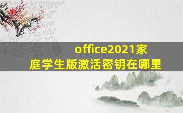 office2021家庭学生版激活密钥在哪里