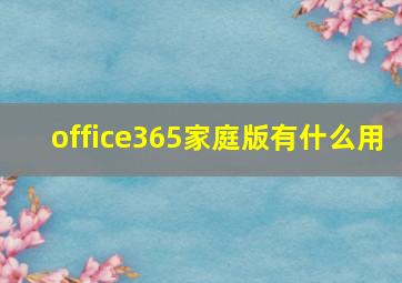 office365家庭版有什么用