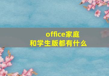 office家庭和学生版都有什么