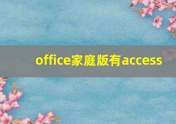 office家庭版有access