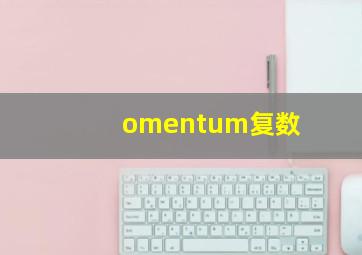 omentum复数