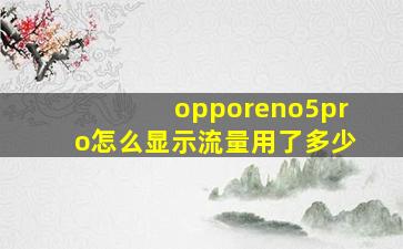 opporeno5pro怎么显示流量用了多少