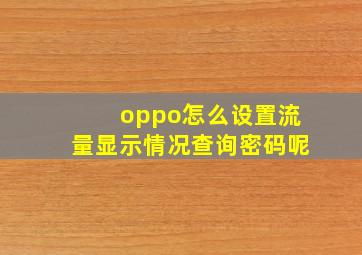 oppo怎么设置流量显示情况查询密码呢