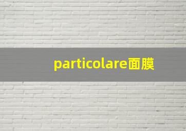 particolare面膜