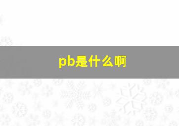 pb是什么啊