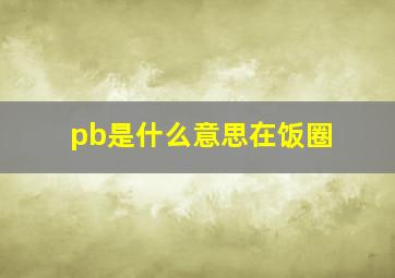 pb是什么意思在饭圈