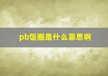 pb饭圈是什么意思啊