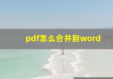 pdf怎么合并到word