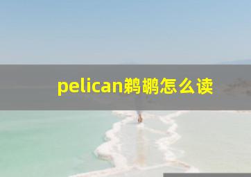 pelican鹈鹕怎么读