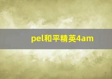 pel和平精英4am