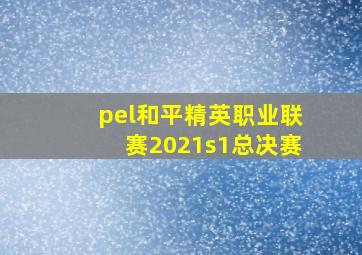 pel和平精英职业联赛2021s1总决赛