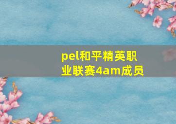 pel和平精英职业联赛4am成员