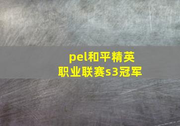 pel和平精英职业联赛s3冠军