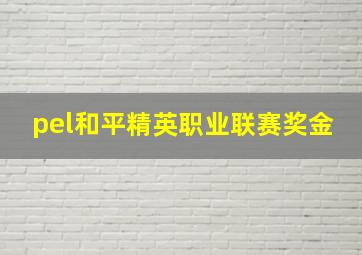 pel和平精英职业联赛奖金