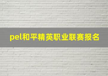 pel和平精英职业联赛报名