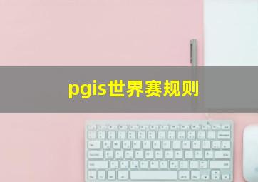 pgis世界赛规则