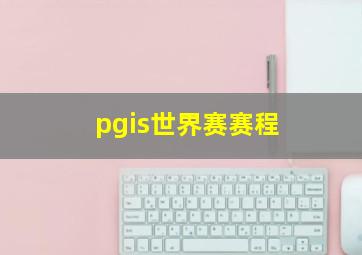 pgis世界赛赛程