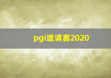 pgi邀请赛2020