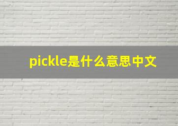 pickle是什么意思中文