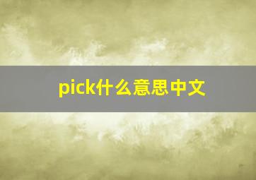 pick什么意思中文