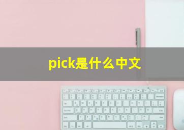 pick是什么中文