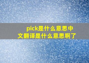 pick是什么意思中文翻译是什么意思啊了