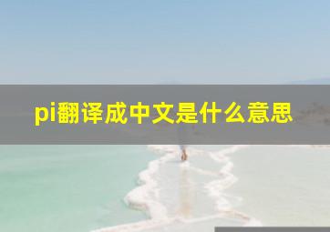 pi翻译成中文是什么意思