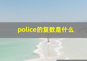 police的复数是什么