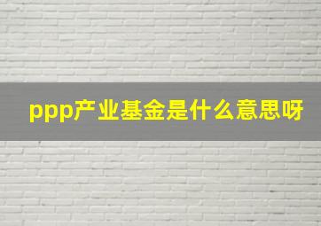 ppp产业基金是什么意思呀