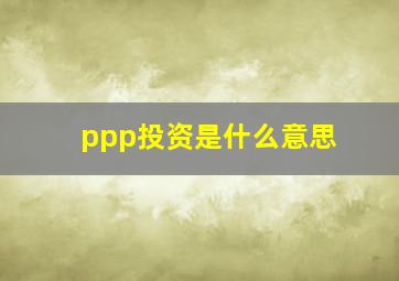 ppp投资是什么意思