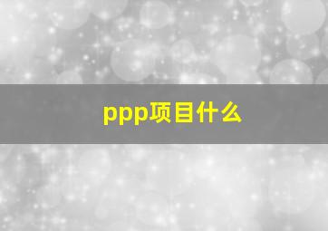 ppp项目什么