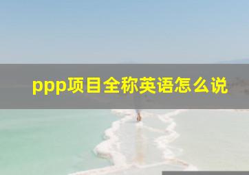 ppp项目全称英语怎么说