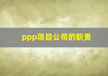 ppp项目公司的职责