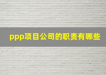 ppp项目公司的职责有哪些