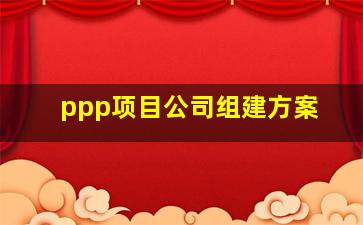 ppp项目公司组建方案