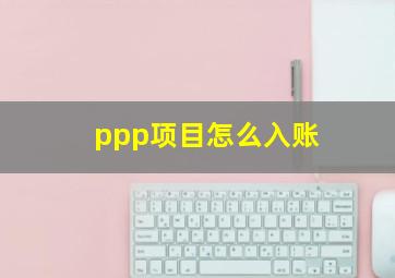 ppp项目怎么入账