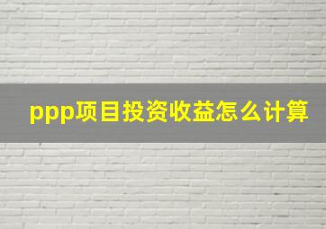 ppp项目投资收益怎么计算