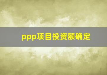 ppp项目投资额确定