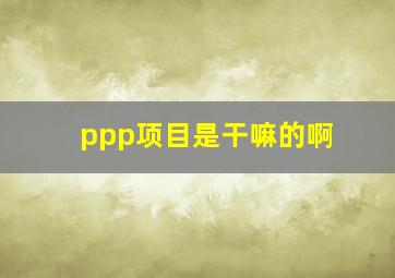 ppp项目是干嘛的啊